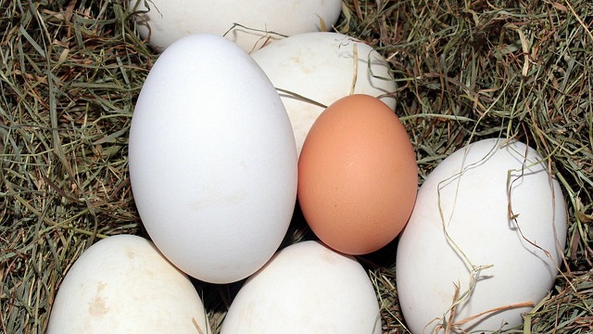 CRM Software Comparison 2026: Choose Best CRM for Sales