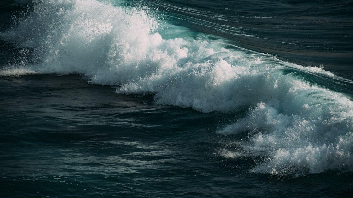 Urgent: wave accounting review could cost your business